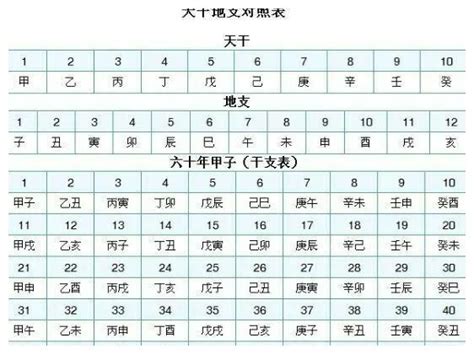 天干地支 算法|在线日期天干地支计算器